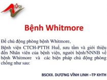 Bệnh Whitmore